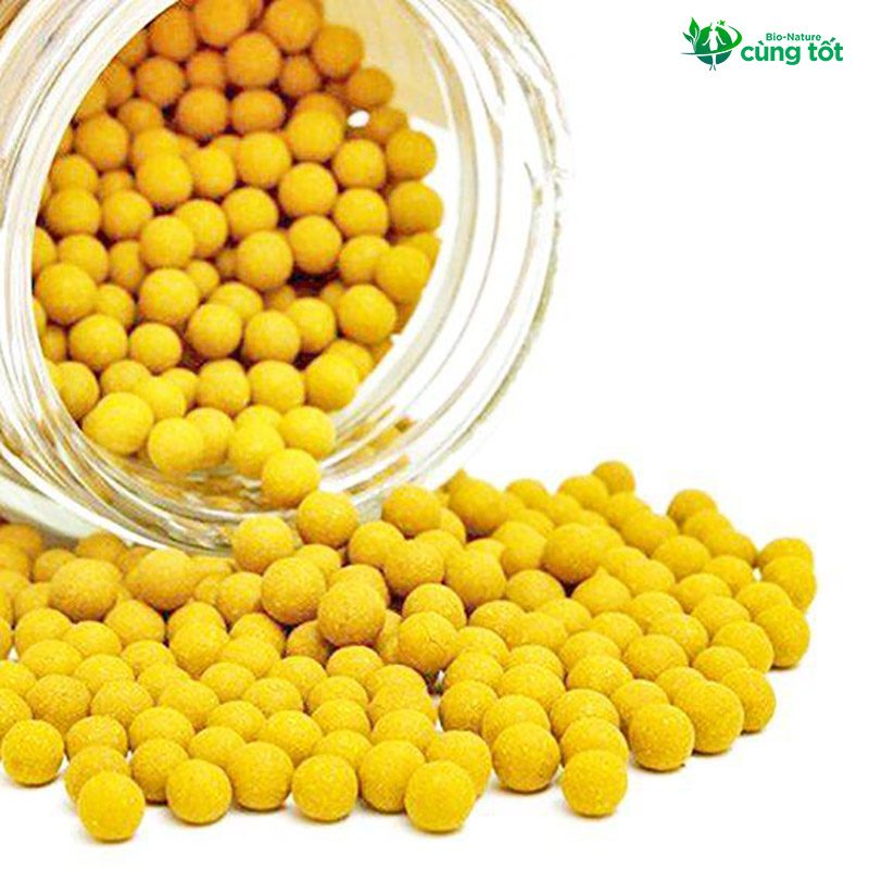 Liệu Dưỡng Quán