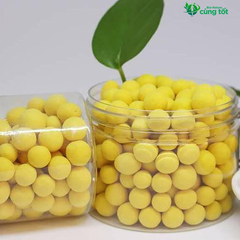 Liệu Dưỡng Quán